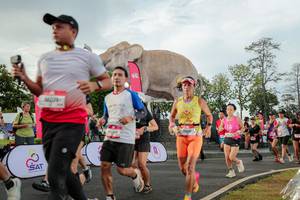 BIB: 
                            <button type="button" onclick="openModal(26528330)" class="btn btn-primary btn-sm float-right btn-popup" data-toggle="modal" data-target=".modal-high-quality">
                        <i class="fas fa-shopping-cart"></i> Add to Cart
                    </button>
                                            <button type="button" onclick="isThisMe(26528330, true)" class="btn btn-success btn-sm float-right btn-popup btn-isme hidden" data-toggle="tooltip" data-placement="bottom" title="นี่คือรูปของคุณใช่ไหม คลิกที่นี่เพื่อเอาเข้าอัลบั้ม">
                        <i class="fas fa-plus"></i> Add to album
                    </button>
                    <button type="button" onclick="isThisMe(26528330, false)" class="btn btn-warning btn-sm float-right btn-popup btn-isnotme hidden">
                        <i class="fas fa-ban"></i> Remove from album
                    </button>